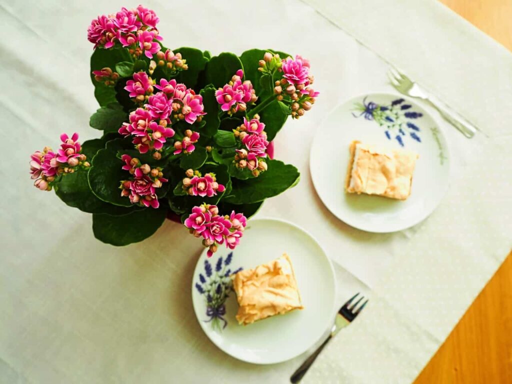 Proste-ciasto-z-rabarbarem-1